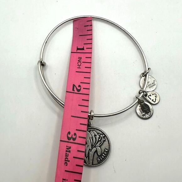 Alex & Ani SISTER Bangle Bracelet Silver tone Casual Collectible Charms Jewelry - Picture 6 of 6